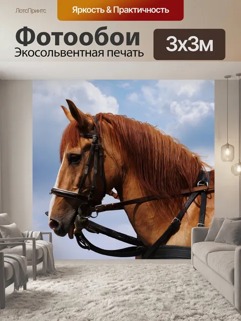 Фотообои Лошадь