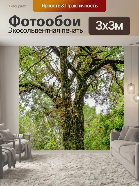 Фотообои Тропическое дерево на северо-востоке