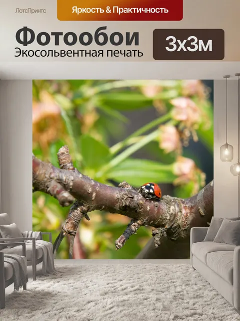 Фотообои Божья коровка на вишни