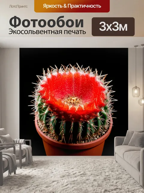 Фотообои кактусы на черном фоне, окрашенные в яркие красные цвета, с акцентом на их текстуры и формы