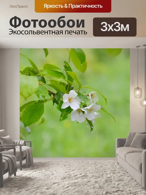 Фотообои Яблоня после дождя