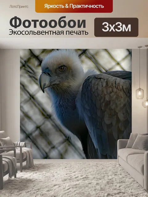 Фотообои Хищные птицы