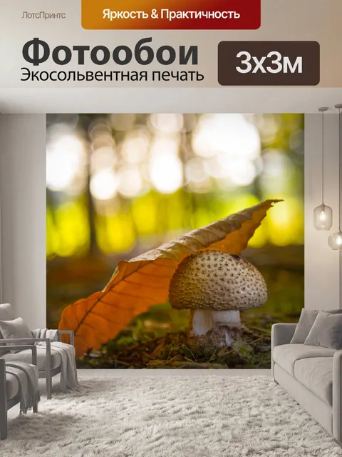 Фотообои грибы