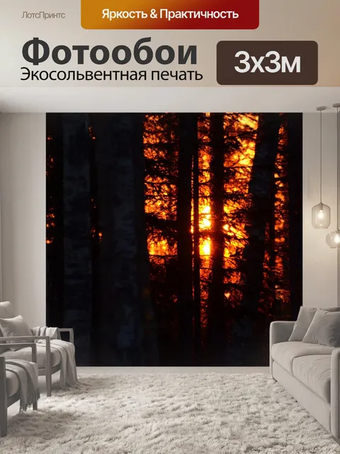 Фотообои Лес