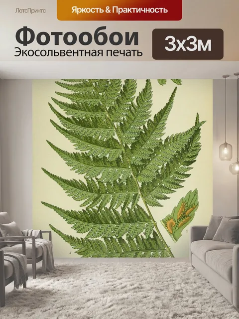 Фотообои Старинные ботанические растения папоротн