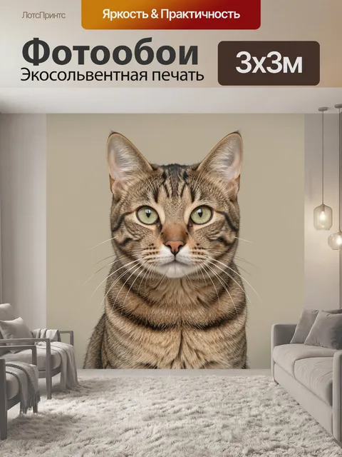 Фотообои Кот табби с зелёными глазами