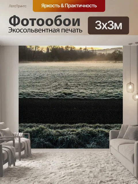 Фотообои Мороз