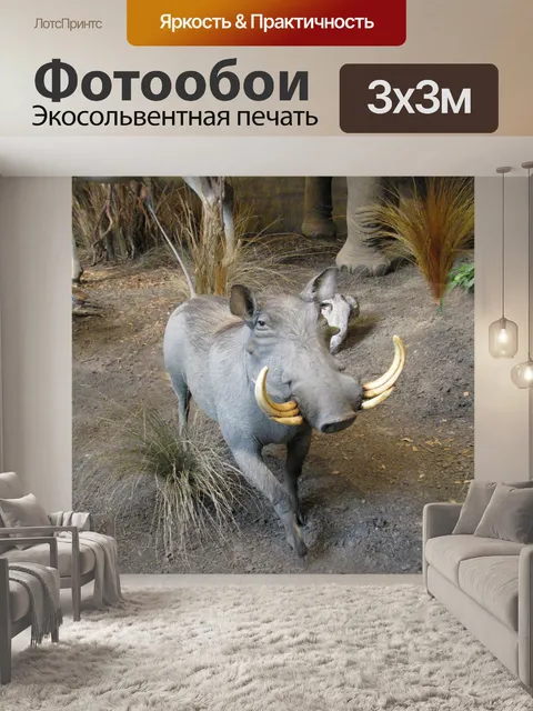 Фотообои Клыкающий кабан