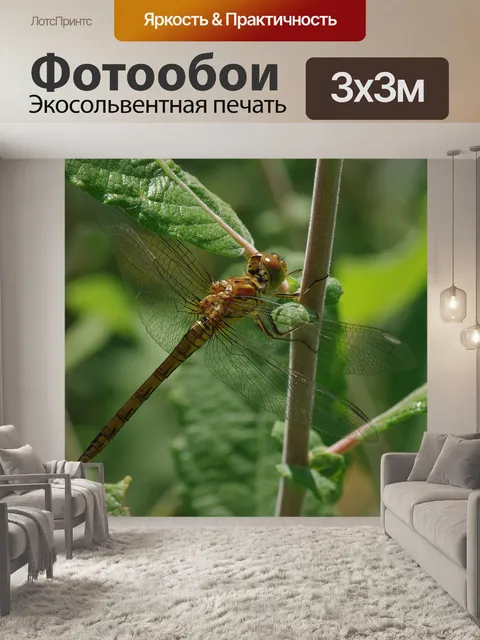 Фотообои Стрекоза