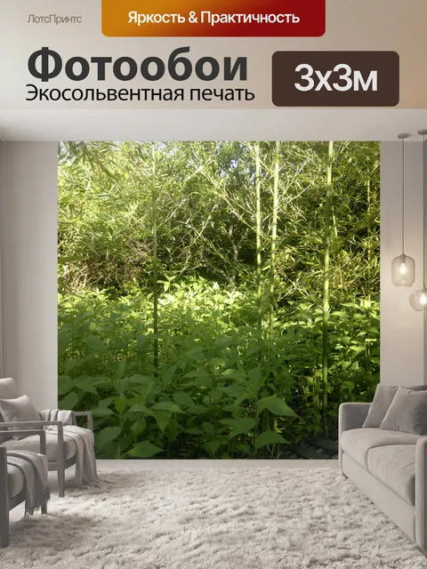 Фотообои Бамбук и растительность