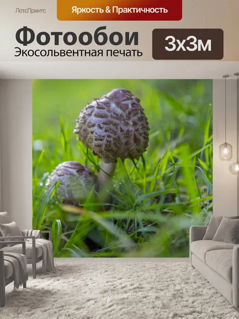Фотообои Маленькие грибы