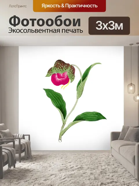 Фотообои Клипарт цветок старинное искусство