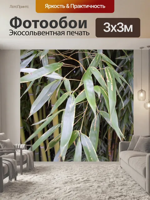 Фотообои Бамбук, зеленая листва, растительность