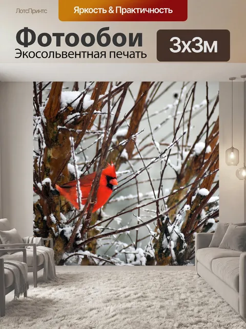 Фотообои Красный кардинал на дереве