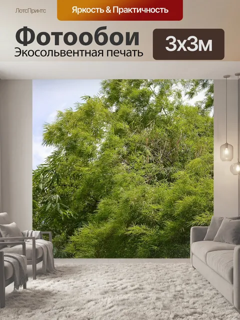 Фотообои Бамбук
