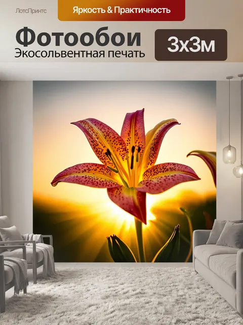 Фотообои лилия, распускающаяся на фоне яркого заката, с золотистыми лучами солнца, пронизывающими её нежные лепестки