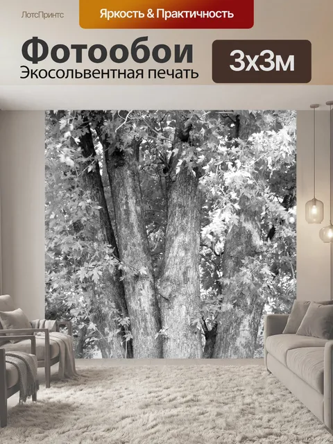 Фотообои В Черное и белое
