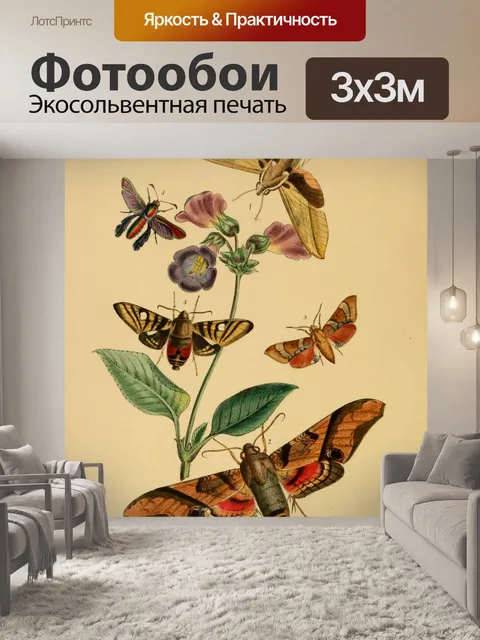 Фотообои Бабочки Винтажное Искусство