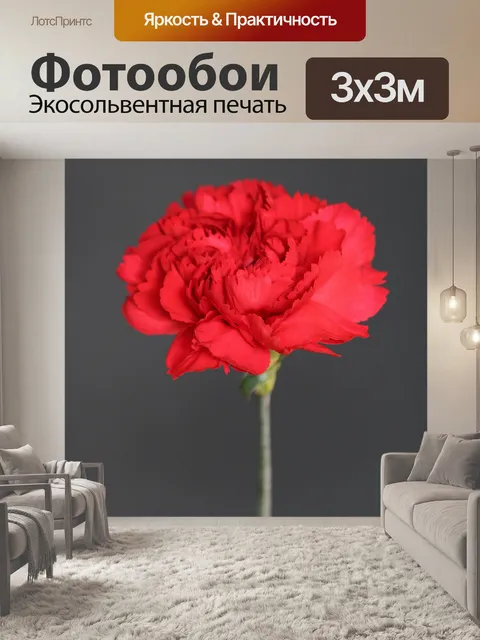 Фотообои Одиночная красная гвоздика