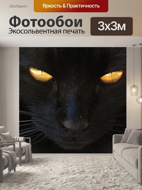 Фотообои Кошка