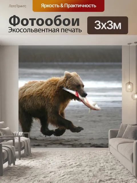 Фотообои Прибрежный бурый медведь