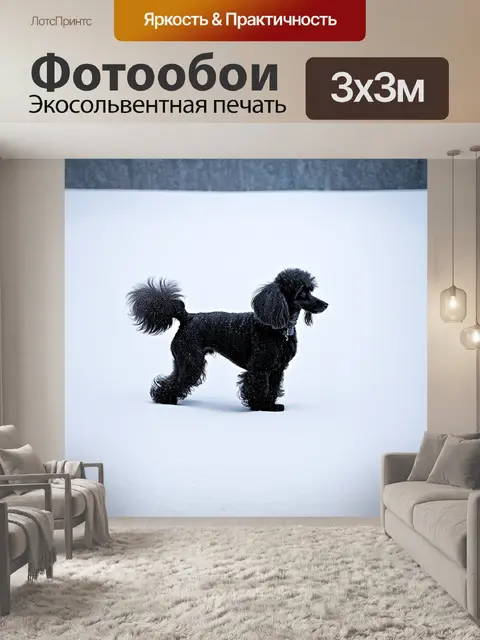 Фотообои просторное белое поле