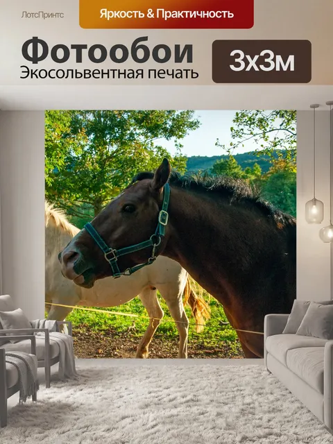 Фотообои Лошади