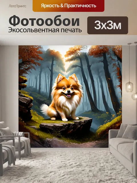 Фотообои **русский**: померанский шпиц с загадочной улыбкой сидит на каменном выступе