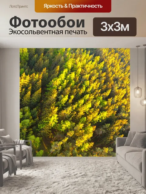 Фотообои Вид с воздуха на вершинах деревьев