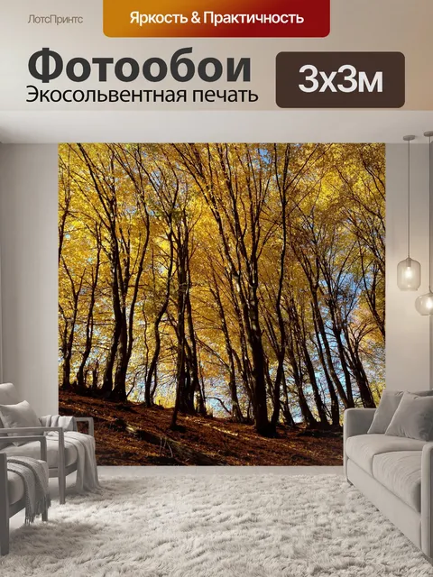 Фотообои Деревья
