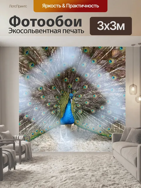 Фотообои Павлин