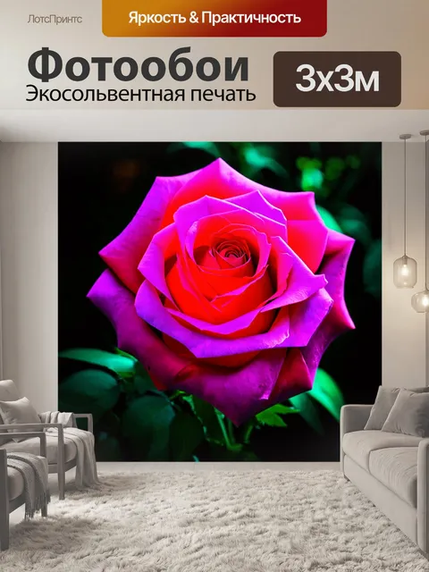 Фотообои розы в стиле ретрофутуризм с ярким контрастом между мягкими цветками и жесткими геометрическими формами