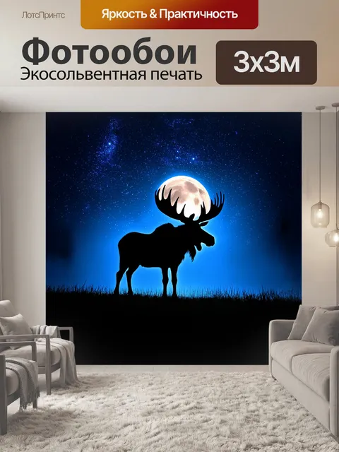 Фотообои на фоне звездного неба величественный лось стоит в поле, его силуэт чернен под светом луны