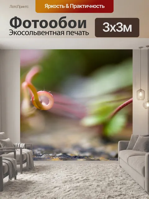 Фотообои Макрос