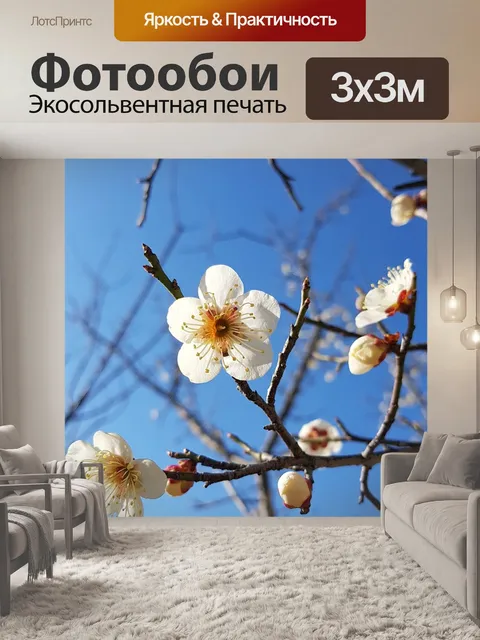 Фотообои Цветение сливы
