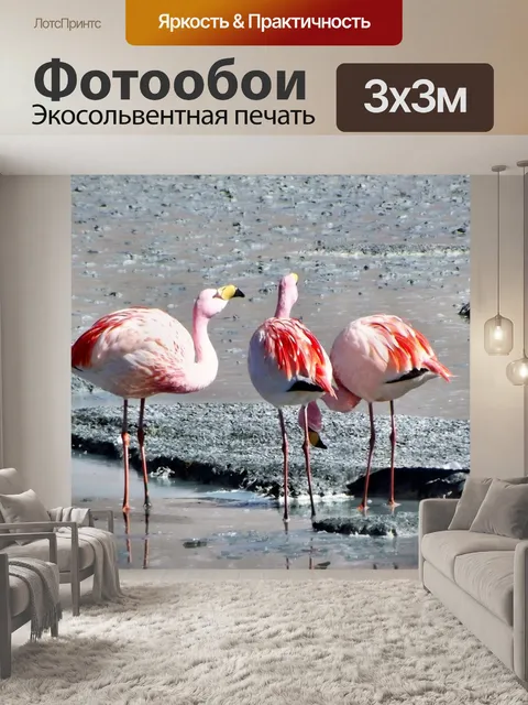 Фотообои Фламинго