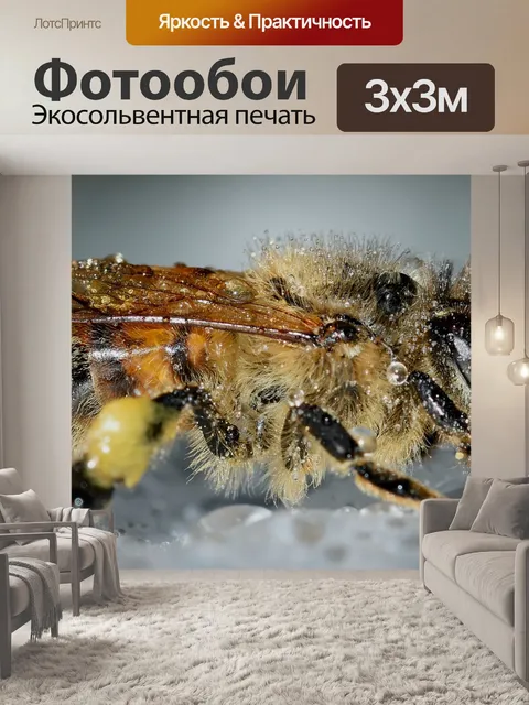 Фотообои Насекомые