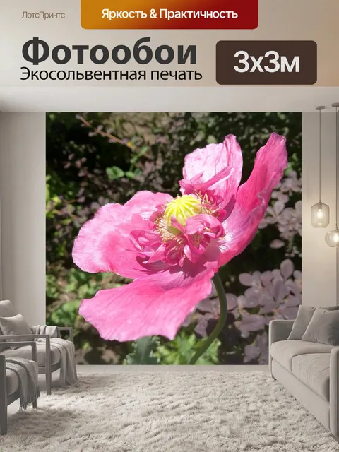 Фотообои Маки