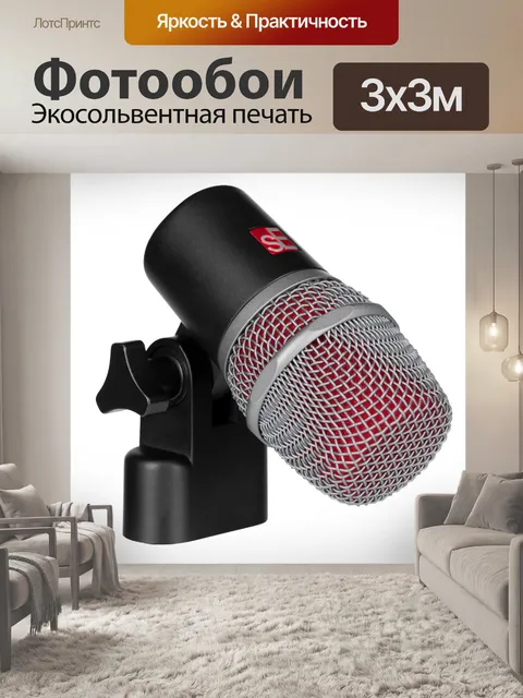 Фотообои Микрофон