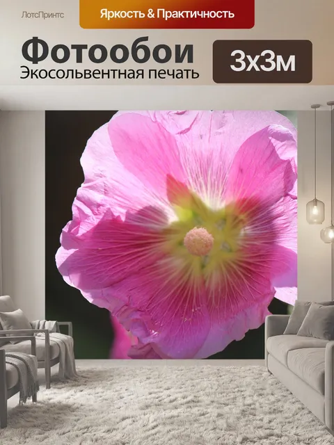 Фотообои Петуния