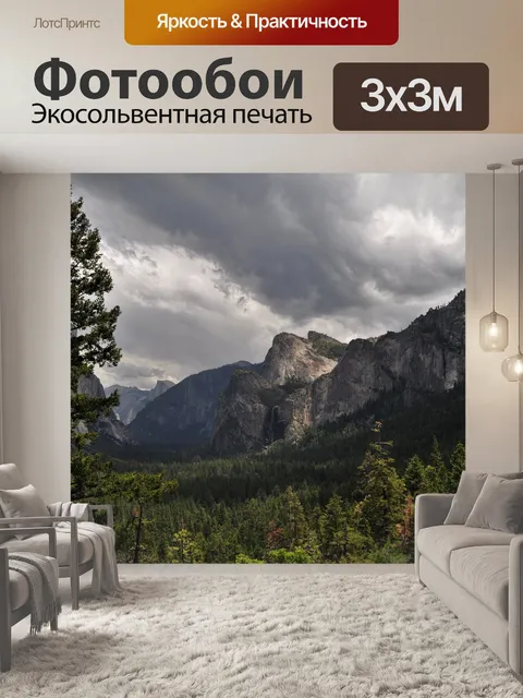Фотообои Лес