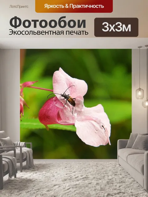 Фотообои Бальзам