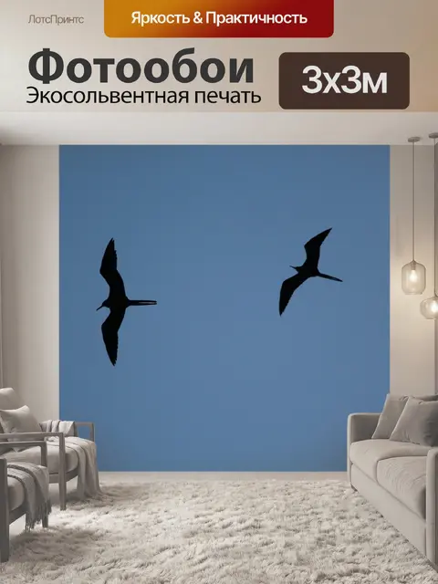 Фотообои Птицы