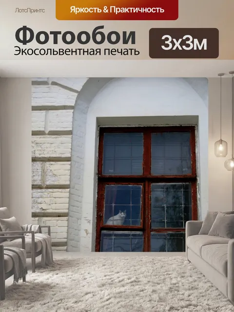 Фотообои Кошка в окне