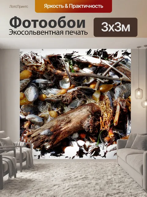 Фотообои Фон из морских водорослей