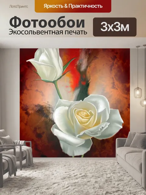 Фотообои Белая роза