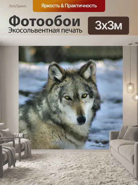 Фотообои Волк