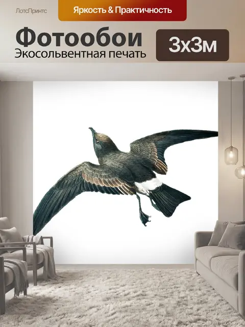 Фотообои Буревестник Риджуэя