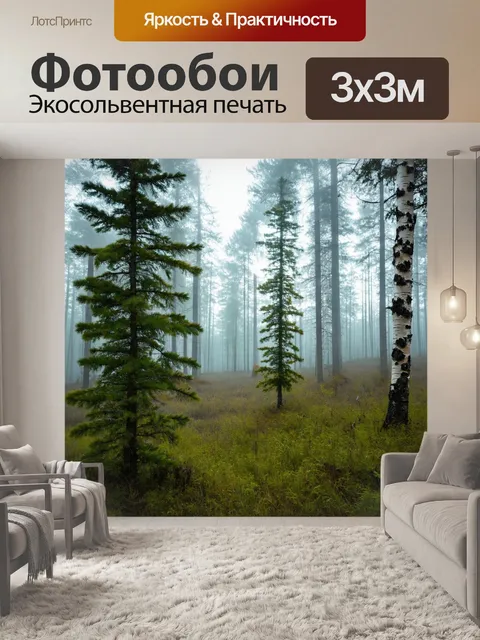 Фотообои таёжный лес с елями и берёзами, поднимающийся туман, утренний свет, свежесть воздуха
