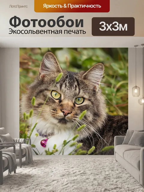 Фотообои Кошка